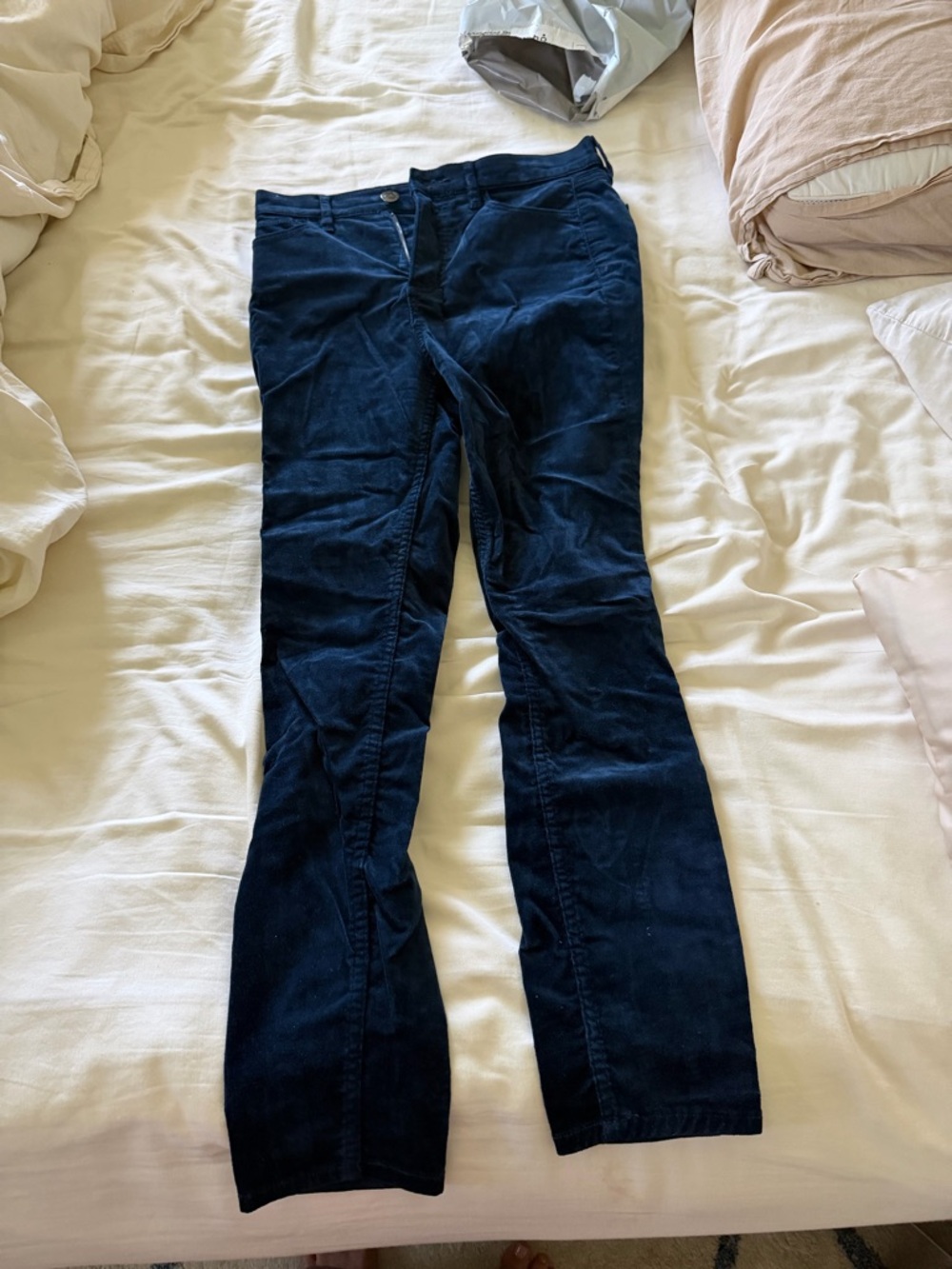 LOFT Dark Blue Women's Velvet Pants
